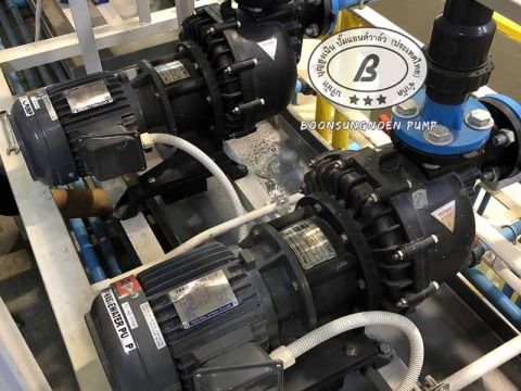 ปั๊มสูบจ่ายสารเคมีอุตสาหกรรม