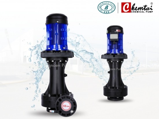 Vertical Chemical Pump