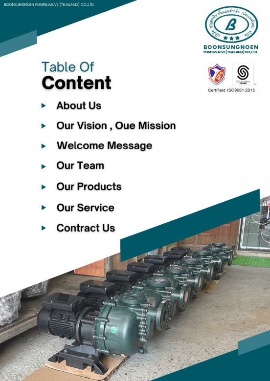 RV.2 BSN Company Profile 20241101_page-0002