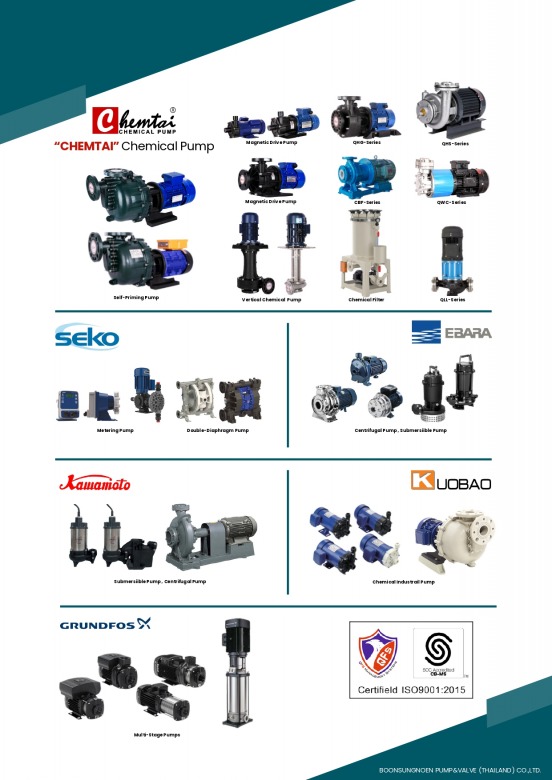 RV.2 BSN Company Profile 20241101_page-0004